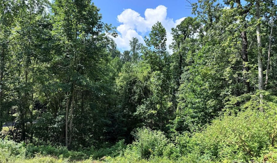 7 Winter Hawk Dr 3, Arden, NC 28704 - 0 Beds, 0 Bath