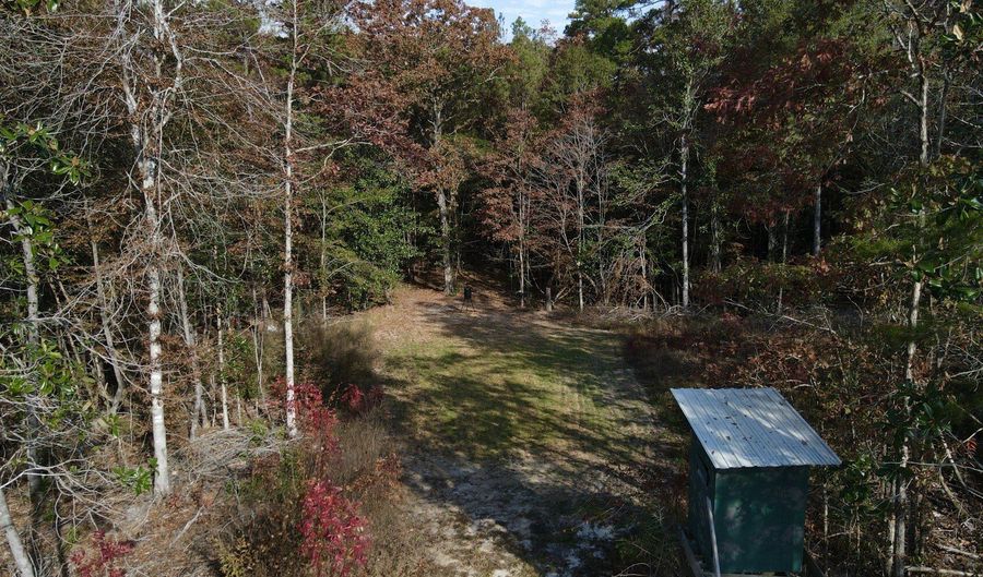 0 Progress Road Rd, Beaumont, MS 39423 - 0 Beds, 0 Bath