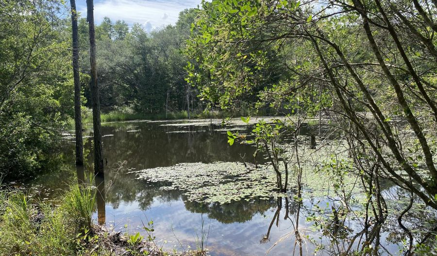 20 Acres Canyon Trl, Baker, FL 32531 - 0 Beds, 0 Bath