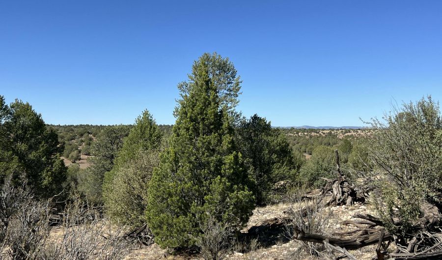 9 A Off Ranch Rd, Ash Fork, AZ 86320 - 0 Beds, 0 Bath