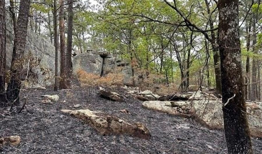 TBD Kiamichi Wilderness, Antlers, OK 74523 - 0 Beds, 0 Bath