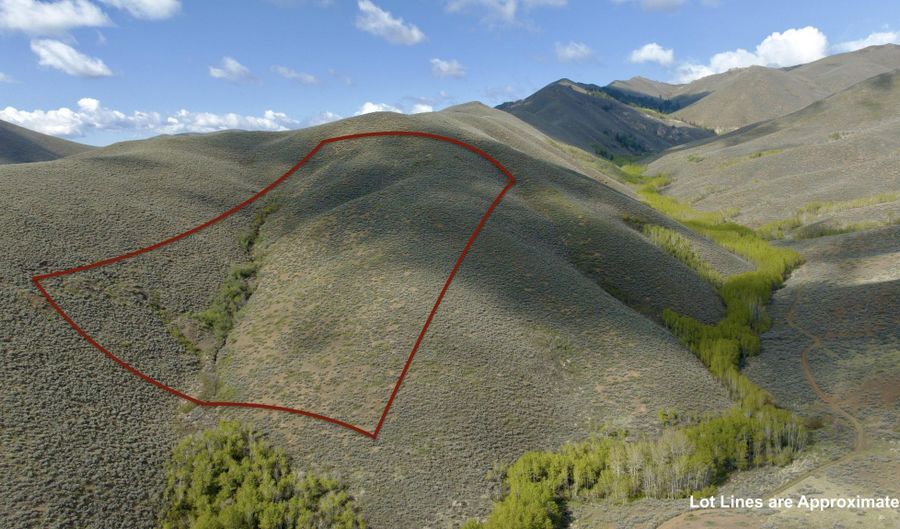 Lees Gulch Rd, Bellevue, ID 83313 - 0 Beds, 0 Bath