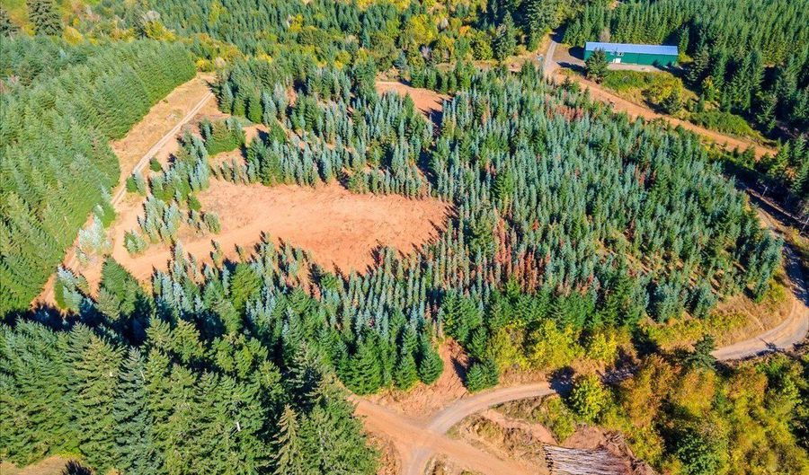 NW Lodge Rd, Banks, OR 97106 - 0 Beds, 0 Bath