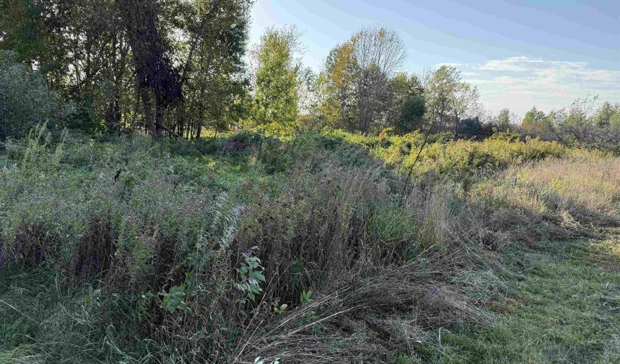 Lot 4 COUNTY ROAD Z, Aniwa, WI 54408 - 0 Beds, 0 Bath