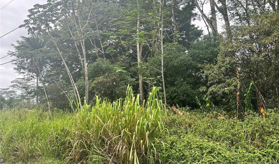 14 Th Ave, Keaau, HI 96749 - 0 Beds, 0 Bath