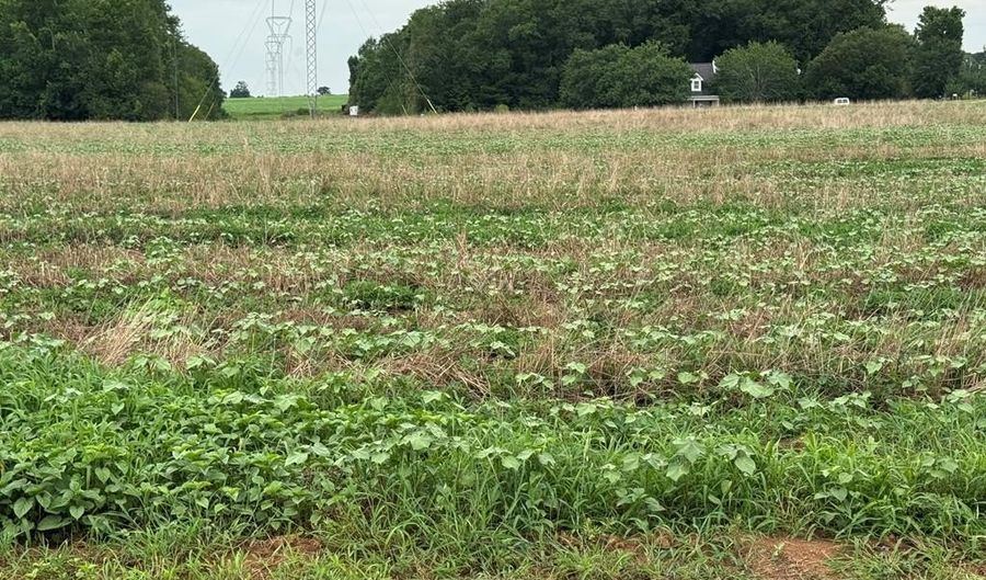 Lot 1 Cowarts Creek Rd, Ashford, AL 36312 - 0 Beds, 0 Bath