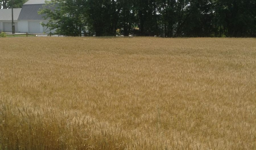 32274 VINES CREEK Rd, Dagsboro, DE 19939 - 0 Beds, 0 Bath