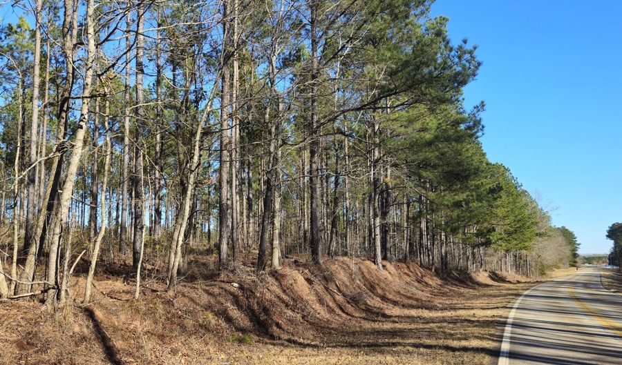 000 BETHANY CHURCH Rd, Lincolnton, GA 30817 - 0 Beds, 0 Bath