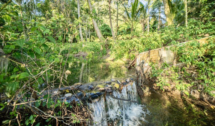29-509 CHIN CHUCK Rd, Hakalau, HI 96710 - 0 Beds, 0 Bath