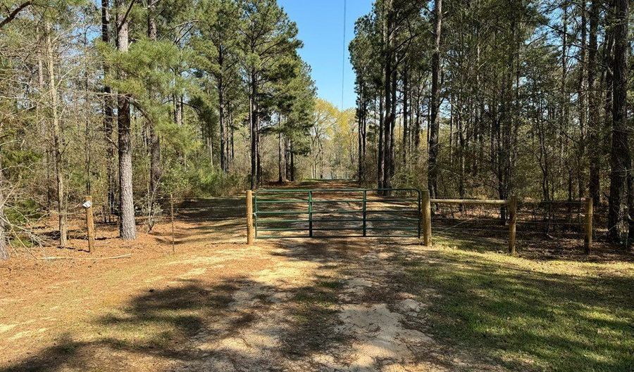 2584 County Road 6647, Banks, AL 36005 - 5 Beds, 2 Bath
