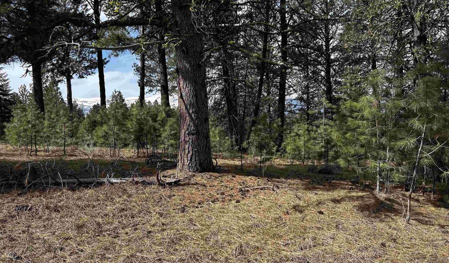 1483 Pine Lakes Ranch Rd, Cascade, ID 83611 - 0 Beds, 0 Bath