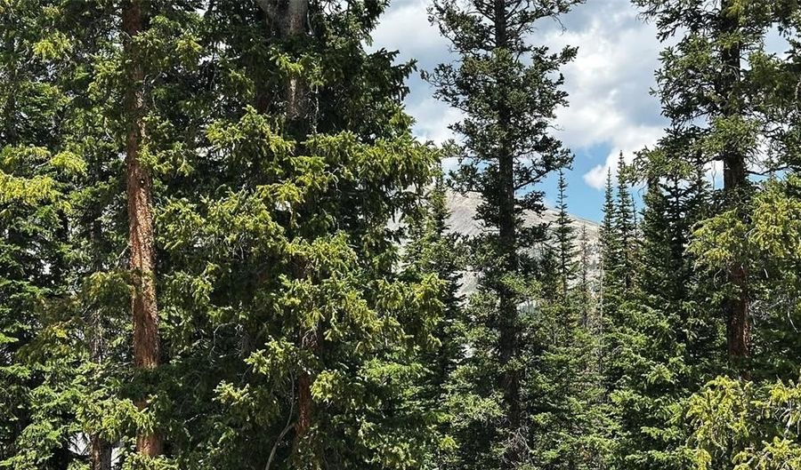 584 Camron Ln Lot 6, Breckenridge, CO 80424 - 0 Beds, 0 Bath