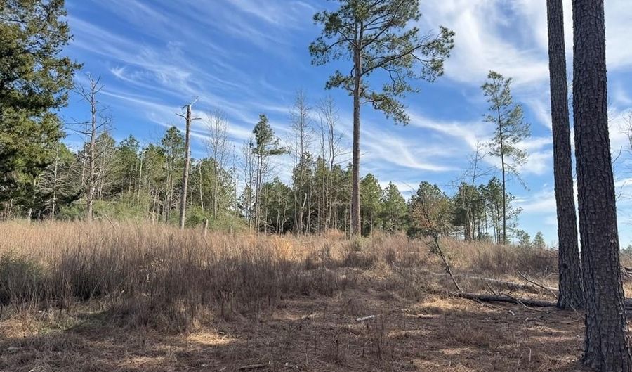 TR 3A FM 752, Alto, TX 75925 - 0 Beds, 0 Bath