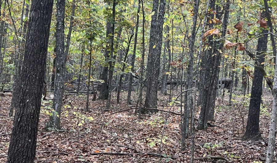 County Road 113 lot 1, Alton, MO 65606 - 0 Beds, 0 Bath