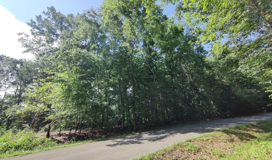 3347 Mountain View Ln, Baneberry, TN 37890 - 0 Beds, 0 Bath