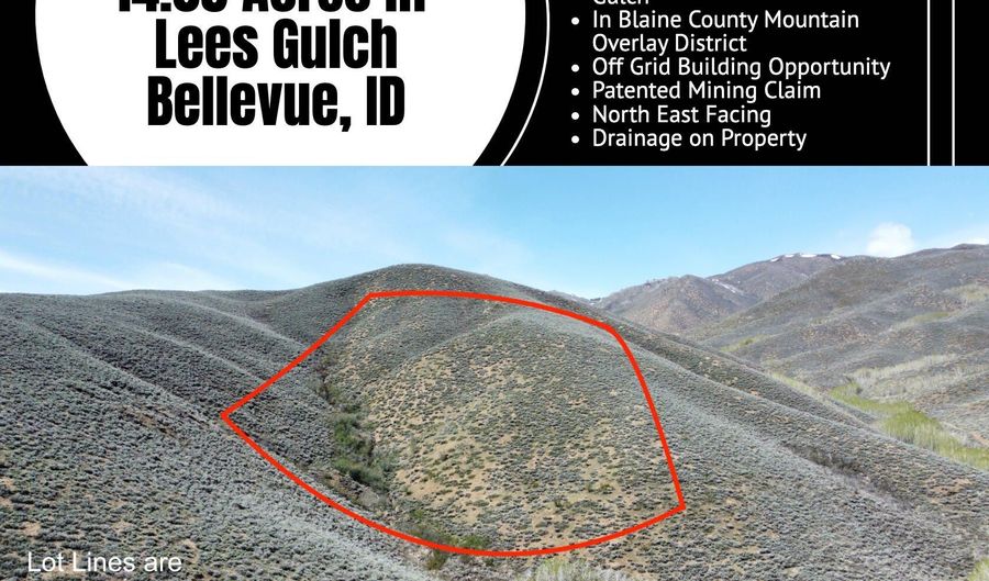 TBD Lees Gulch Rd, Bellevue, ID 83313 - 0 Beds, 0 Bath