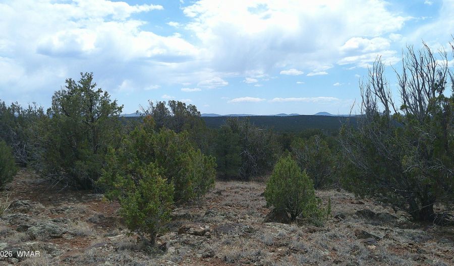 74 Co Rd, Concho, AZ 85924 - 0 Beds, 0 Bath