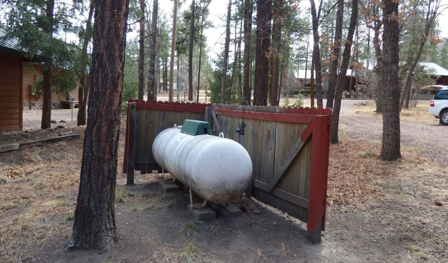 30 County Road 2066, Alpine, AZ 85920 - 2 Beds, 2 Bath