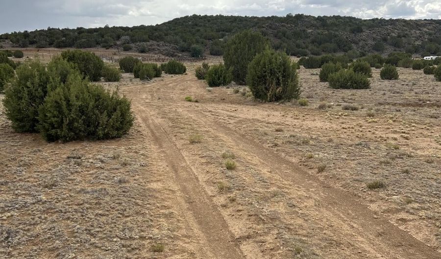 8206 TBD N8206, Concho, AZ 85924 - 0 Beds, 0 Bath