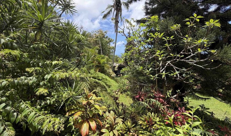 105 Hana Hwy, Hana, HI 96713 - 1 Beds, 1 Bath
