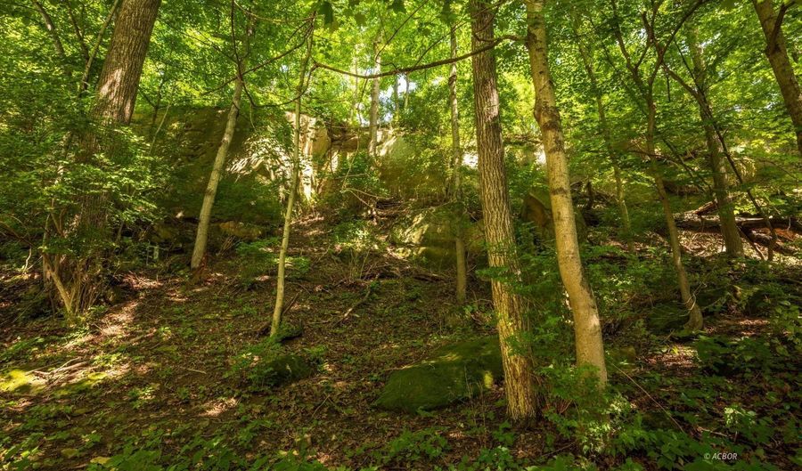 5 Joneswood Dr, Athens, OH 45701 - 3 Beds, 3 Bath