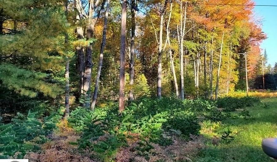 0 Scenic River Dr, Alger, MI 48610 - 0 Beds, 0 Bath