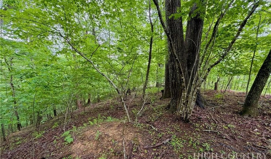 Grandfather Watch Lane, Banner Elk, NC 28604 - 0 Beds, 0 Bath