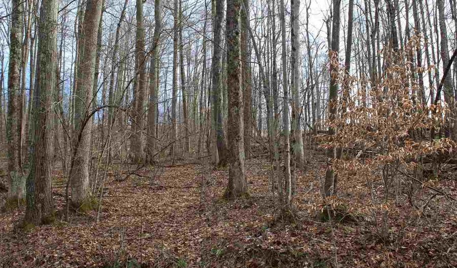 Lot C-J + 25 DEERBROOK Lane, Belington, WV 26250 - 0 Beds, 0 Bath