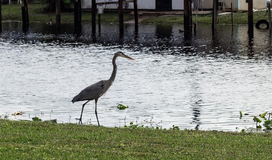 25836 MANHATTAN Ln, Astor, FL 32102 - 3 Beds, 2 Bath