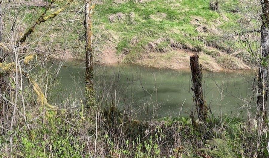 Northrup Creek RD, Birkenfeld, OR 97016 - 0 Beds, 0 Bath