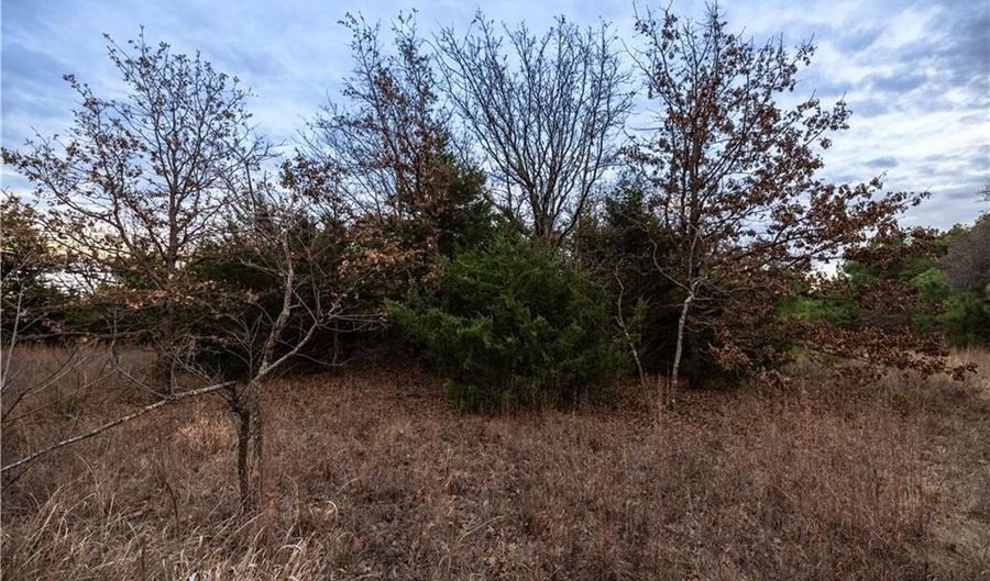 Tract 4 Acme RD, Asher, OK 74826 - 0 Beds, 0 Bath