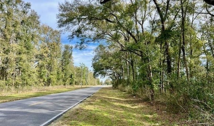 County Road 342, Bell, FL 32619 - 0 Beds, 0 Bath