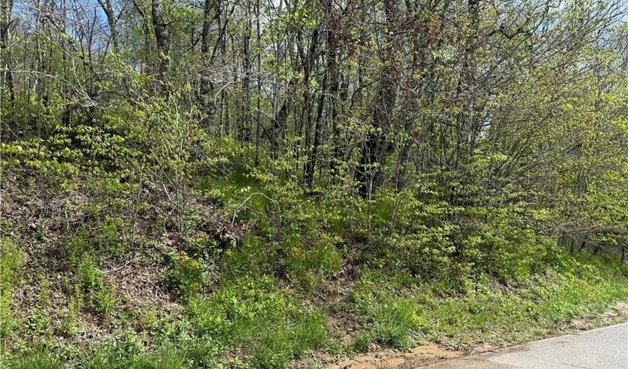 44 Fox Paw Ln, Banner Elk, NC 28604 - 0 Beds, 0 Bath