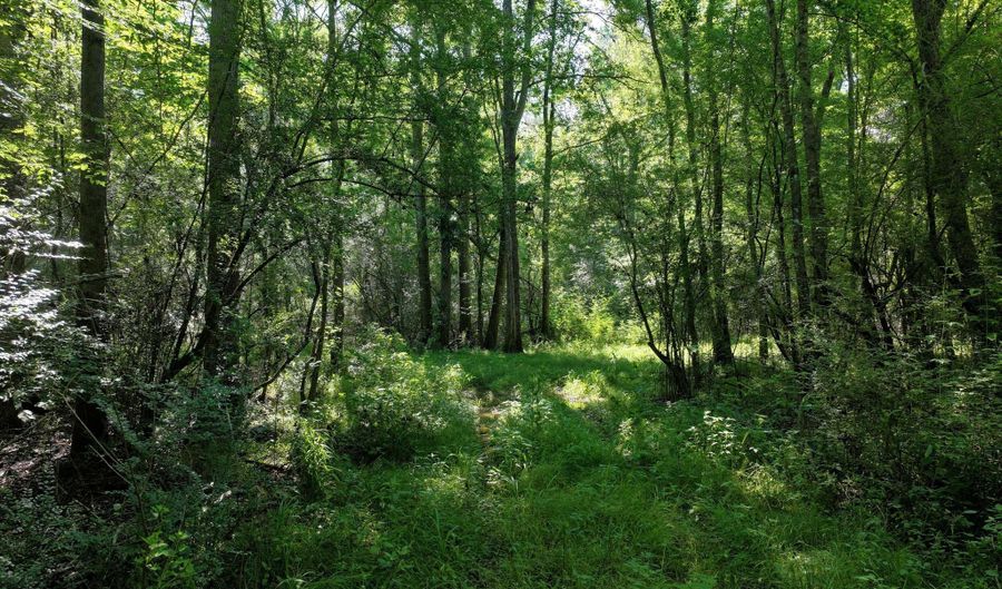 Us-51, Bogue Chitto, MS 39629 - 0 Beds, 0 Bath