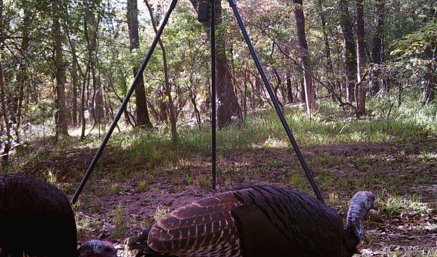 13489 S Center Point Rd, Atoka, OK 74525 - 3 Beds, 1 Bath