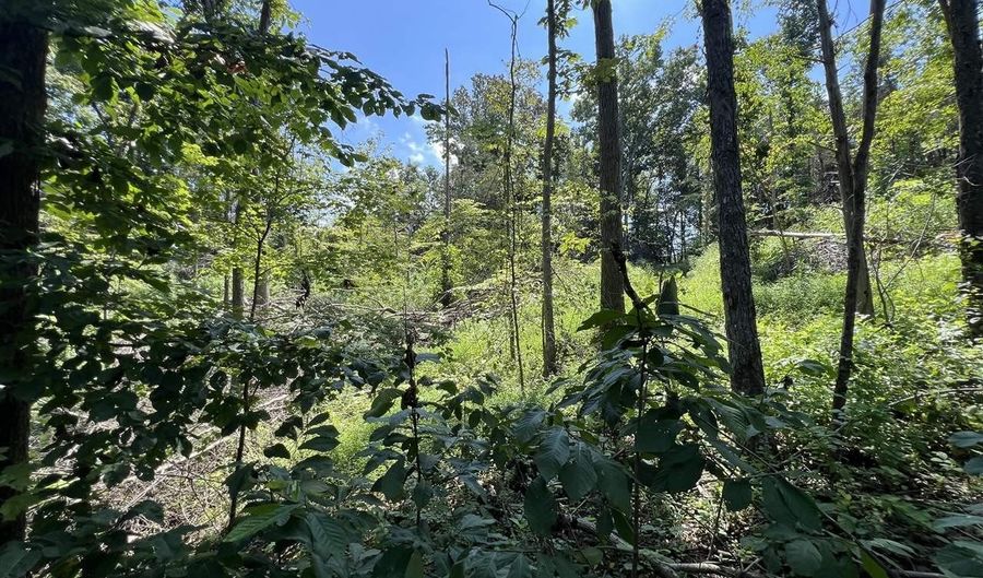 3688 E New Roe Rd, Adolphus, KY 42120 - 0 Beds, 0 Bath