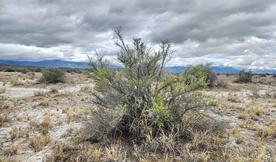 Martin Road, Crescent Valley, NV 89821 - 0 Beds, 0 Bath