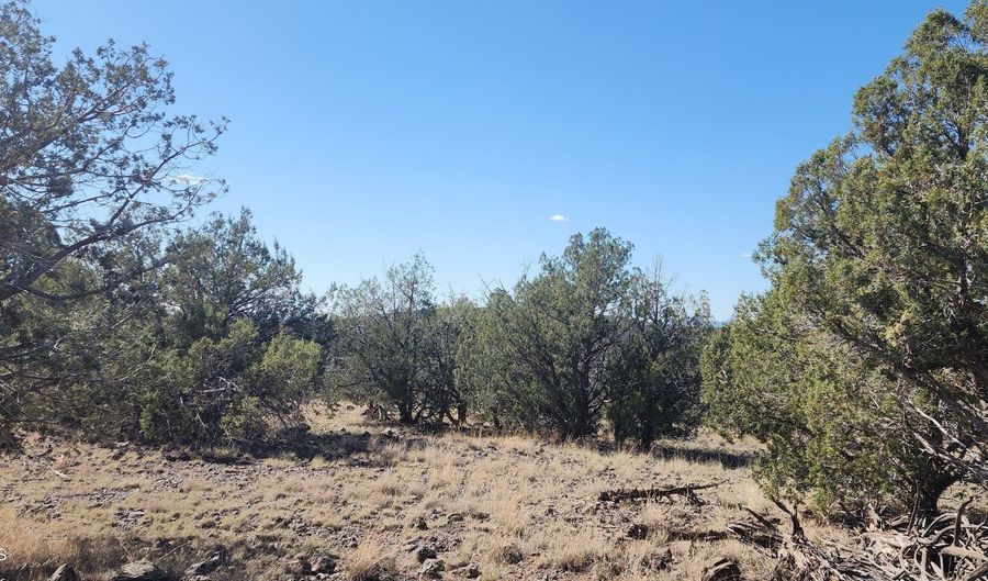 3214 N Kerren Lp, Ash Fork, AZ 86320 - 0 Beds, 0 Bath