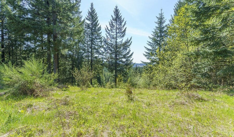 25308 NW MOUNTAIN Dr, Banks, OR 97106 - 0 Beds, 0 Bath