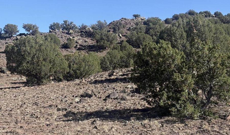 478 N8521, Concho, AZ 85924 - 0 Beds, 0 Bath