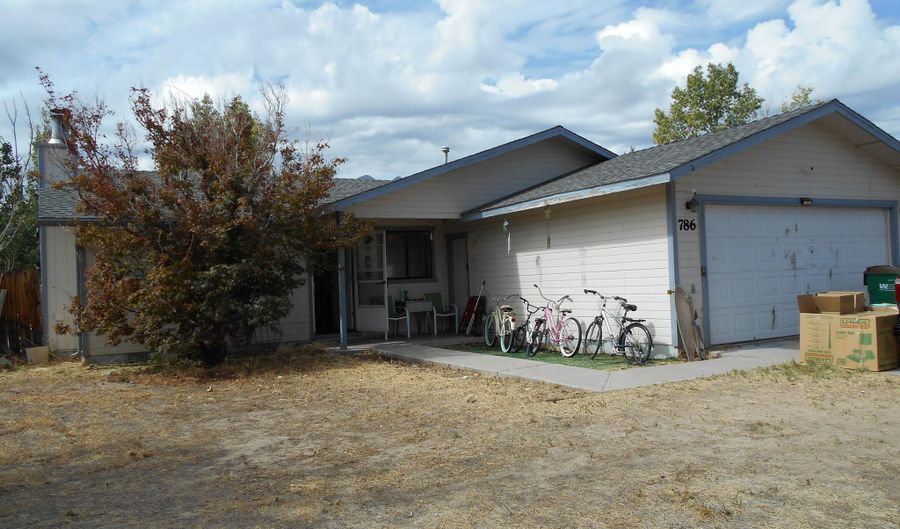 786 Hornet Dr, Gardnerville, NV 89460 - 3 Beds, 2 Bath