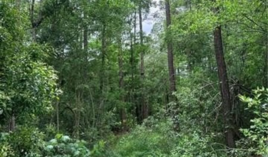25332 HWY 435 Lot 25332, Abita Springs, LA 70420 - 0 Beds, 0 Bath