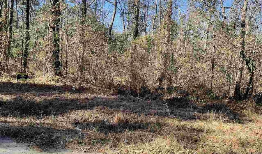 Lot on Spring Hill Rd, Timmonsville, SC 29161 - 0 Beds, 0 Bath