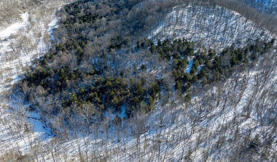 Lockmier 57+/- Acres Rd, Augusta, KY 41002 - 0 Beds, 0 Bath