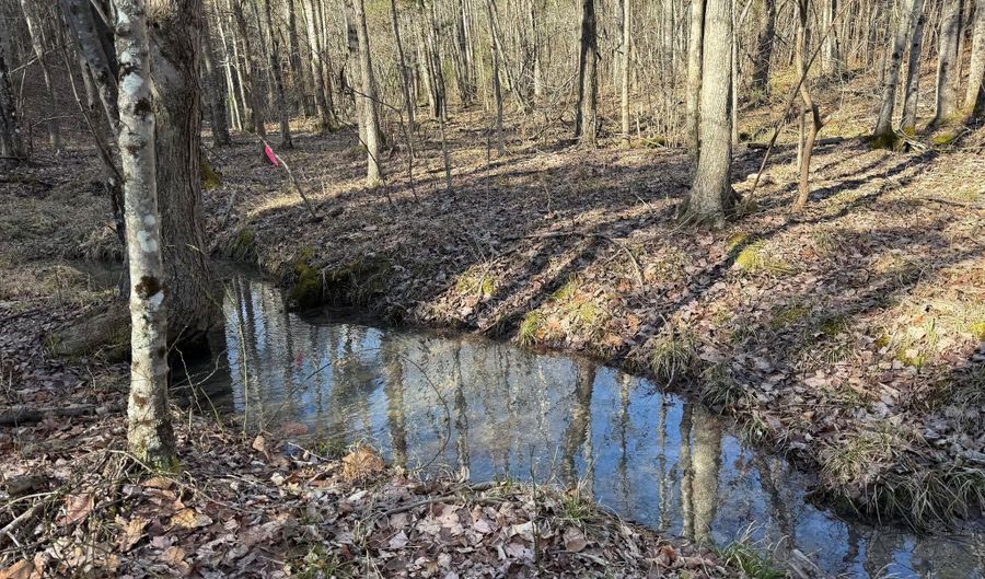 MOUNTAIN CUT RD lot C, Appomattox, VA 24522 - 0 Beds, 0 Bath