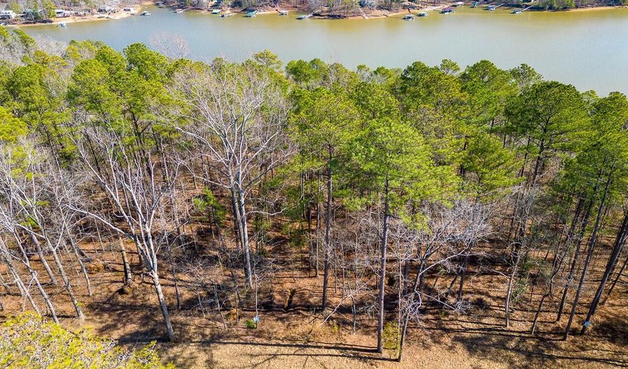 LOT 2 WHITE OAK RIDGE, Arley, AL 35541 - 0 Beds, 0 Bath