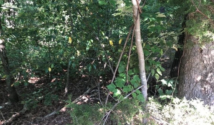 Lot 9 Cawood DR, Bella Vista, AR 72714 - 0 Beds, 0 Bath