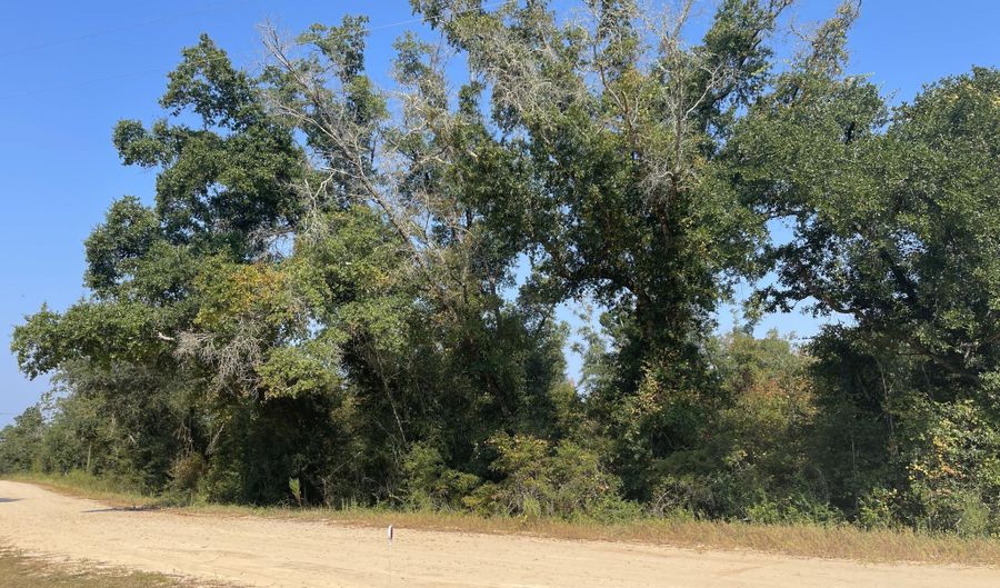 Union Drive, Alford, FL 32420 - 0 Beds, 0 Bath