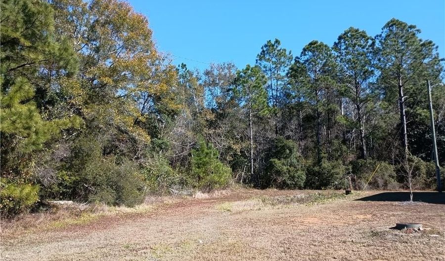 Bryant Drive, Bayou La Batre, AL 36509 - 0 Beds, 0 Bath