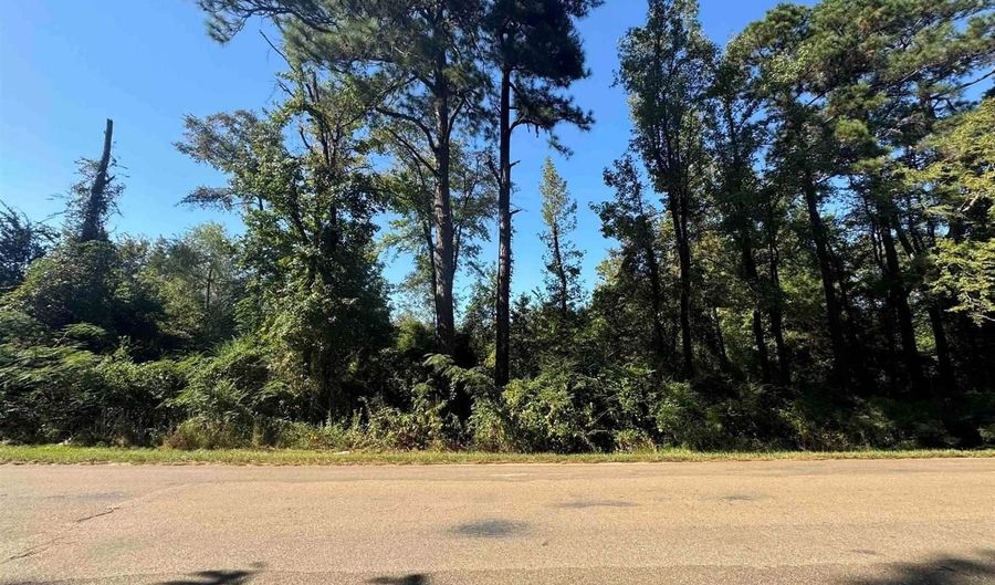 TBD Peyton Ave, Ashdown, AR 71822 - 0 Beds, 0 Bath
